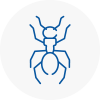 Ant Removals In Falkirk