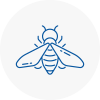 Bee Nest Removal Falkirk