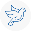 Bird Prevention Falkirk