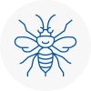 Falkirk Hornet Nest Removals
