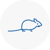 Mice Exterminators In Falkirk