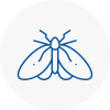 Moth Control Specialists In Falkirk