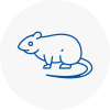 Rat Control Falkirk