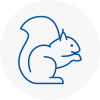 Falkirk Rodent Removals